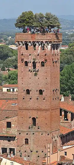 Guinigi Tower seen from the Torre delle Ore