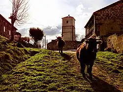 Clock tower and surroundings of the square