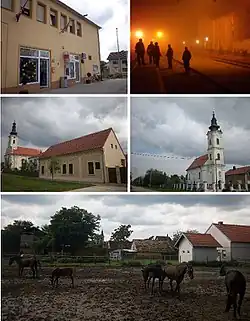 Clockwise, from top right: Tovarnik railway station, Serbian Orthodox Church of St. George, stable, Roman Catholic Church of Saint Matthew, Birthplace of Antun Gustav Matoš and Municipal building