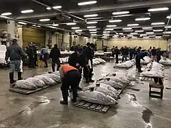 Start of the tuna auction at Tsukiji: buyers are checking the catch