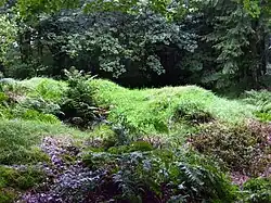 Bowl barrow on Stock Hill: part of the Stock Hill round barrow cemetery