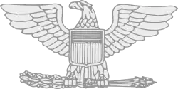 White metal eagle with wings spread and head turned right, clutching olive branch in right talon and arrows in left talon, bearing escutcheon in French style shape of horizontal stripes above vertical stripes
