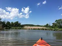 View of the arboretum from the Anacostia River.