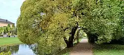 A secluded pathway with red lily pond to the left and the Linnaeum in distance