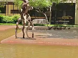 Sunken garden in south campus