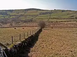 Valley between Cratlieve and Slievenaboley