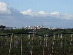 Panorama of Velletri