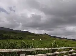 View of El Yunque from PR-984 in Naranjo