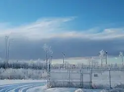 Five wind turbines in snowy forest