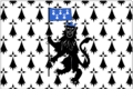 Flag of Ploërmel