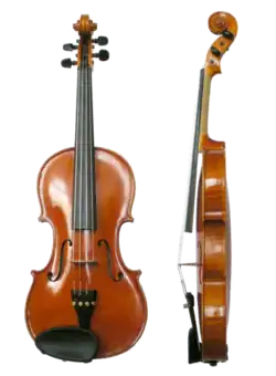 Violin