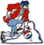 Virginia Squires logo