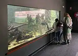 One of the aquarium exhibits at the zoo