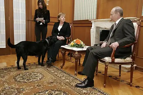 Konni sniffs Merkel, seated, during her meeting with Putin, also seated.