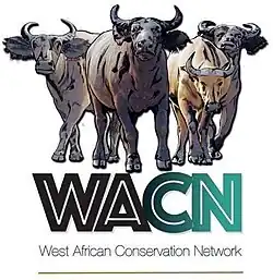 This is the Logo of WACN