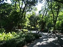 The Company's Garden, a large public park in the CBD​​‌