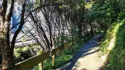 photo of walkway through greenery