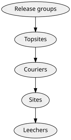 A hierarchy, from the top down it reads: "Release Groups", "Topsites", "Couriers", "Sites", and "Leechers".
