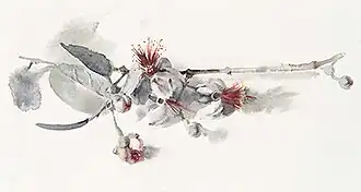 Wendy Artin, Pineapple Guava branch, 2020
