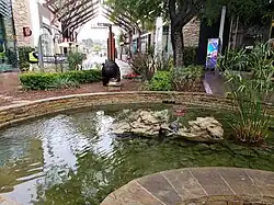 Outdoor pond