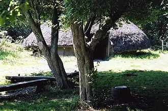 Circular thatched building seen through trees