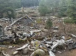 A large cylindrical piece of airplane wreckage lies on the forest floor, surrounded by trees and yellow-green vegetation. Additional wreckage is scattered in the background on a hillside. The area is a mix of forest and debris from the crash.