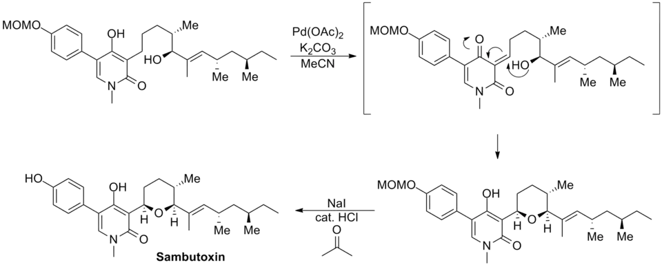 Williams sambutoxin synthesis