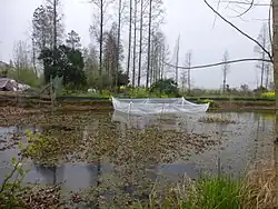 Frogs being raised for food in a small plastic enclosure in a pond in Yanwo Town, Honghu City, Hubei, China