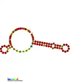 ZEB2_AS1_4: Secondary structure taken from the Rfam database. Family RF01987