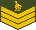 Staff sergeant (Zimbabwe National Army)