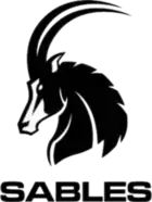 Shirt badge/Association crest