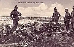 Russian soldiers killed during the Narew offensive, German postcard, 1915.