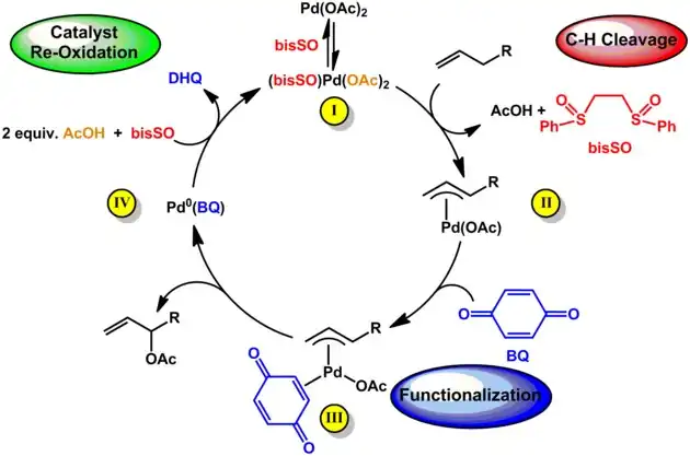 Allylic Esterification Catalytic Cycle